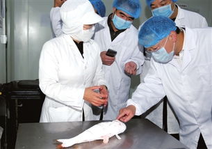 聚焦接待業(yè)務(wù) 從幕后到臺(tái)前的專業(yè)服務(wù)